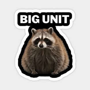 fat raccoon Magnet