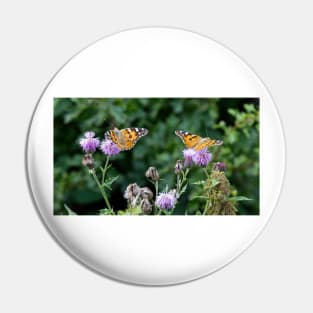 Painted Lady Butterfly in sunshine Pin