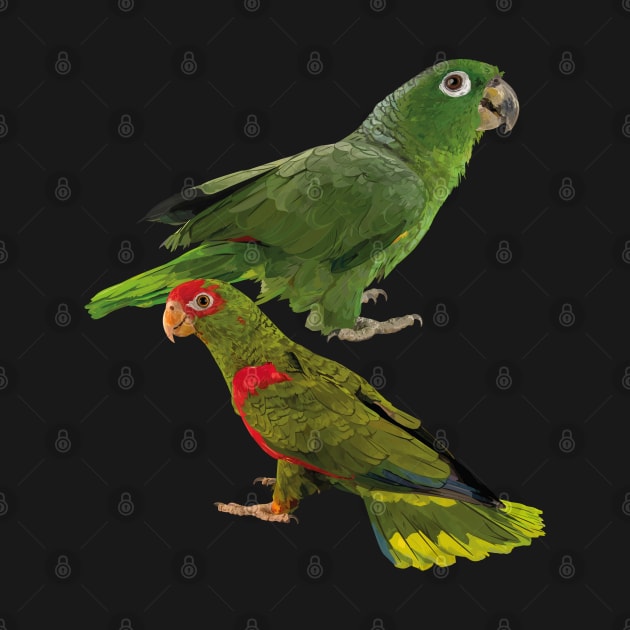 Parrots by obscurite