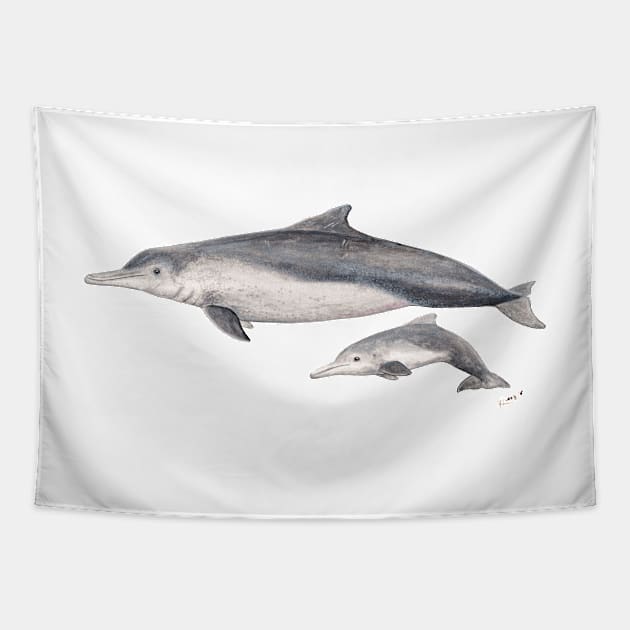 Australian humpback dolphin Tapestry by chloeyzoard