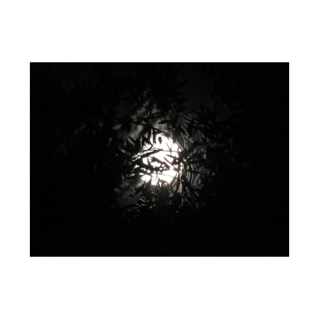 Full Moon in Branches by OneLook