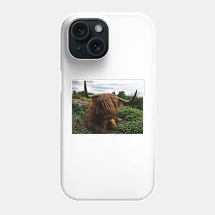 Scottish Highland Cattle Cow 2410 Phone Case