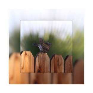 Female House Finch on Wooden Fence Digital Art T-Shirt