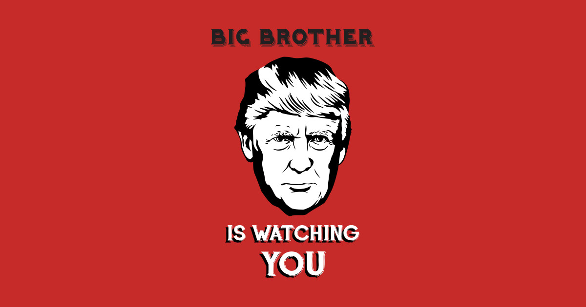 BIG BROTHER IS WATCHING YOU - Parody - T-Shirt | TeePublic
