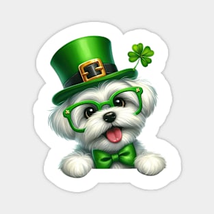 St Patricks Day Peeking Maltese Dog Magnet