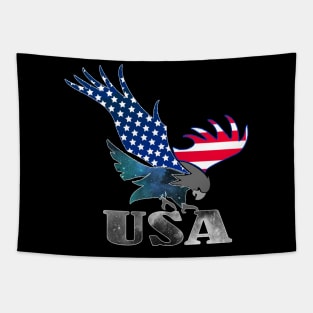 American flag Tapestry