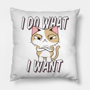 Kitty, But Make it Sassy! Pillow