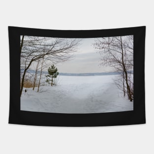 Tranquil landscape with the lake Tapestry