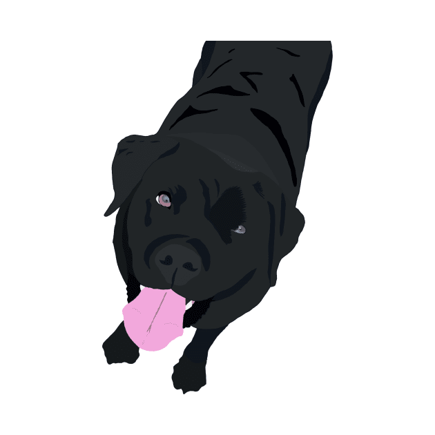 Black Labrador by Poohdlesdoodles