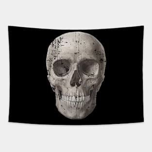 Worn Out Skull Tapestry