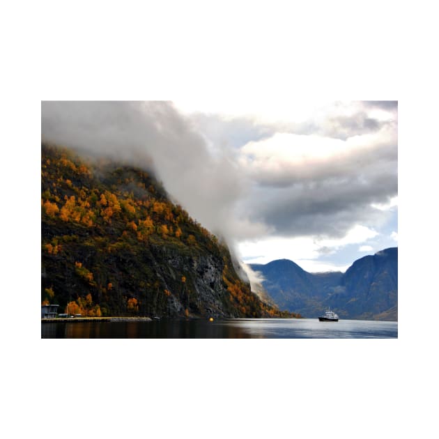 Aurlandsfjord Flam Norwegian Fjord Norway by Andy Evans Photos