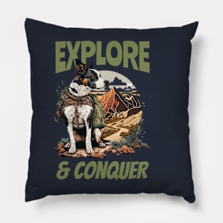 Explore & Conquer Pillow