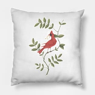 Cardinal Bird Vintage Wildlife Illustration Pillow