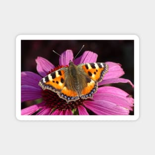 Small tortoiseshell butterfly – Aglais Urticae Magnet