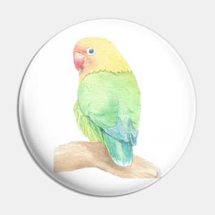 Lovebird watercolor portrait Pin