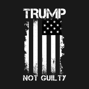 Trump Not Guilty, Free Trump, I stand with Trump. T-Shirt