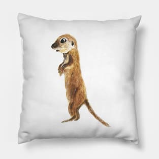 cute little otter watercolor Pillow