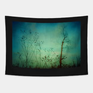 The Blues of Twilight Tapestry