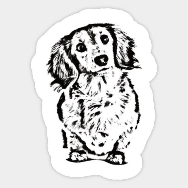 Cute Long Haired Dachshund Head Tilt Dachshund Lover Gift