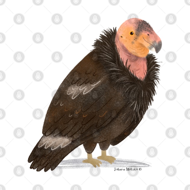 California Condor by julianamotzko