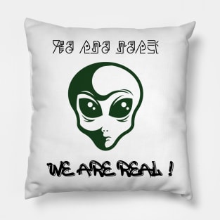 Aliens are here,space creatures with High IQ confirmed, Aliens are here, funny Pillow