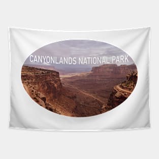 Canyonlands National Park Tapestry