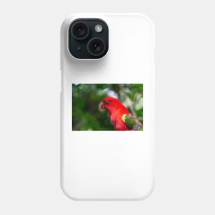 A portrait of a parrot bird Phone Case
