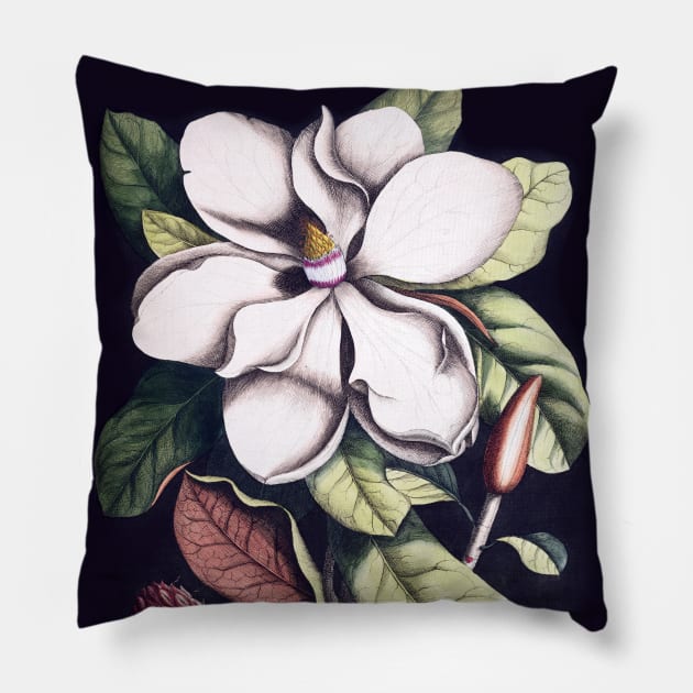 Magnolia flower Pillow by CatyArte