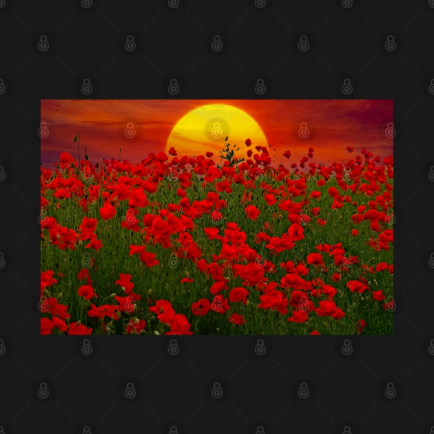 At the Going Down of The Sun - Poppies at Sunset by MartynUK