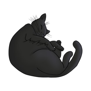 Black Cat Sleeping Curled Up T-Shirt