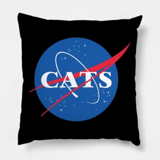 Cats Pillow