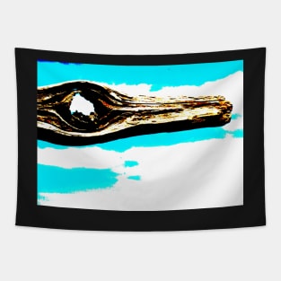 Abstract Wood Knot  Hole and Sky Polarized Tapestry