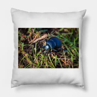 British Dung Beetle - 2012 Pillow