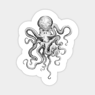 Sketchy stylized Octopus Magnet