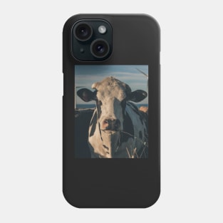 Cow in sunset light Phone Case