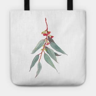 Red Flowering Gum Blossom Tote