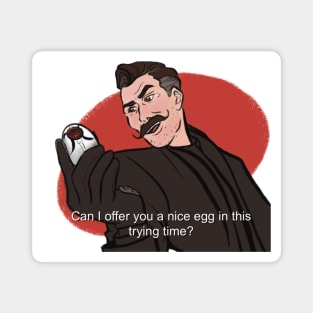 Dr. Eggmeme Magnet