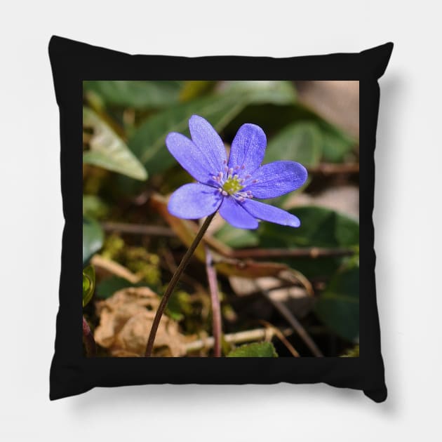 Liverflower In The Field Pillow by DesignMore21