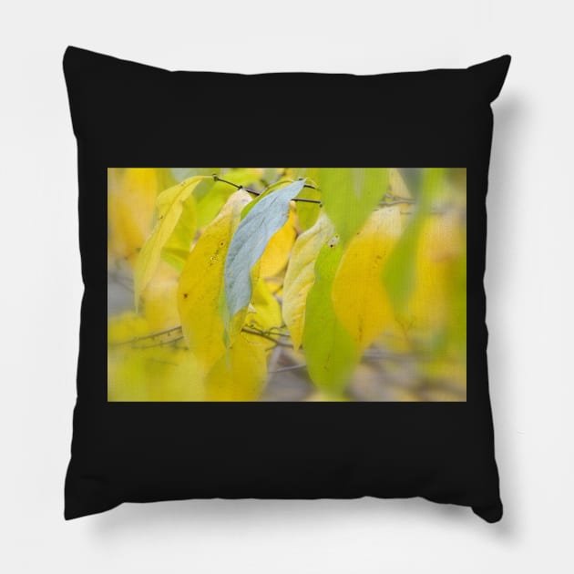 Lemon Lime Pillow by LaurieMinor