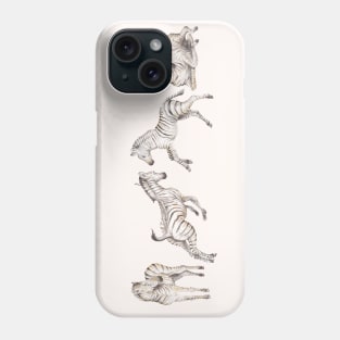 Zebra foals playing Phone Case