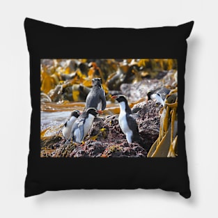 Snares Crested Penguins Pillow