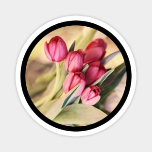 Vintage Tulips Magnet