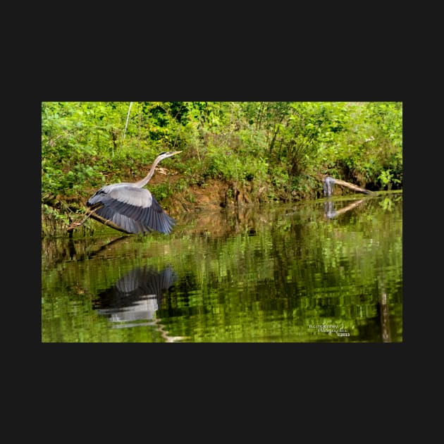 Mama Heron by ncmckinney