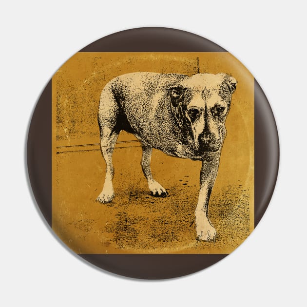 Alice's Dog Long Play Pin by CTShirts