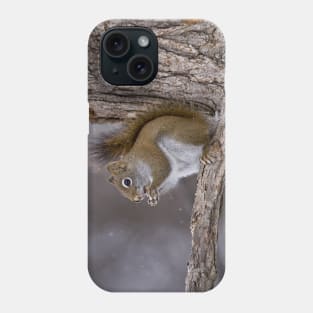 Red Squirrel Phone Case