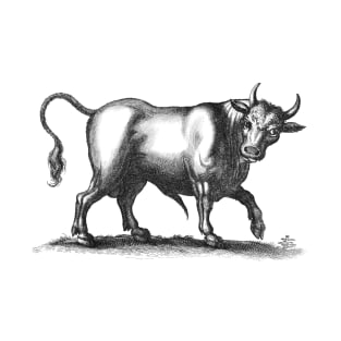 Bull Vintage Black and White Illustration T-Shirt