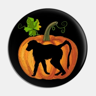 Monkey in pumpkin Pin