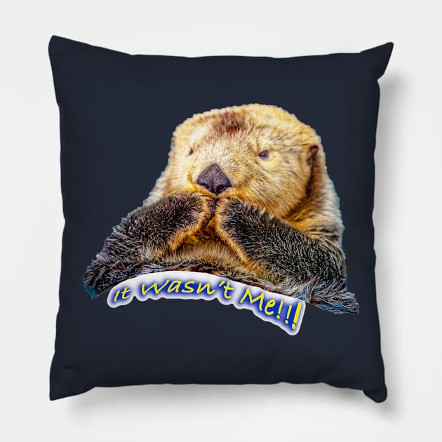 It wasn't Me Honest! Pillow by dalyndigaital2@gmail.com