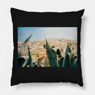 Marettimo Cacti Shot on Film (Porta 400) Pillow