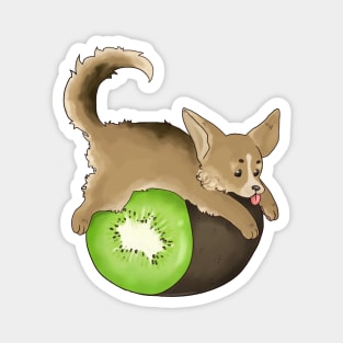 Kiwi Chillin' Magnet